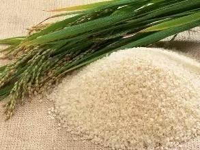 新規出臺！農業部明確 無此證不得銷售食用農產品
