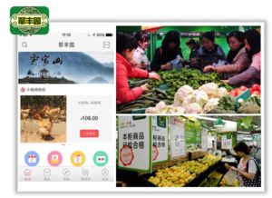 3大戰略12個方法玩轉農產品新零售 新鮮水果零售實戰指南